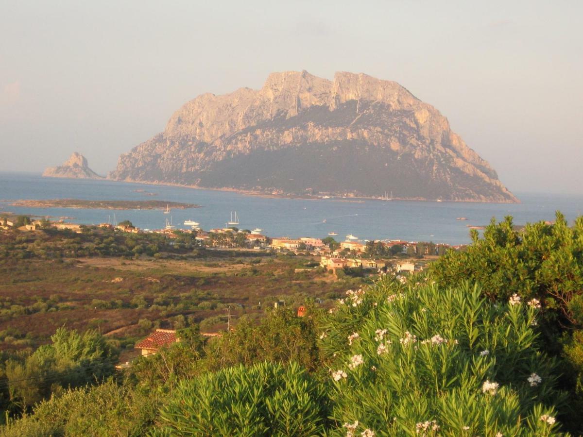Villa Kate B&B Porto San Paolo  Exteriör bild