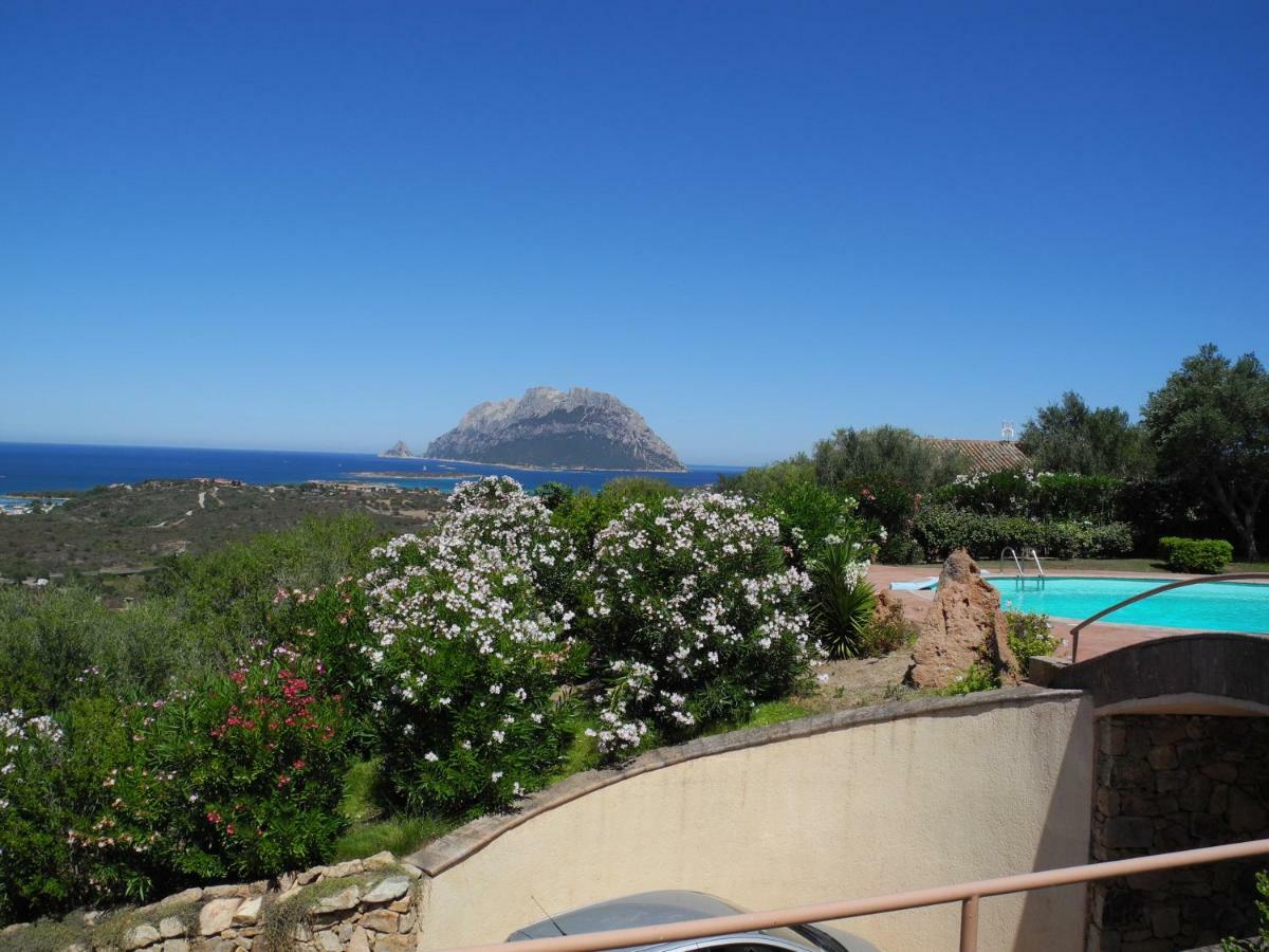 Villa Kate B&B Porto San Paolo  Exteriör bild