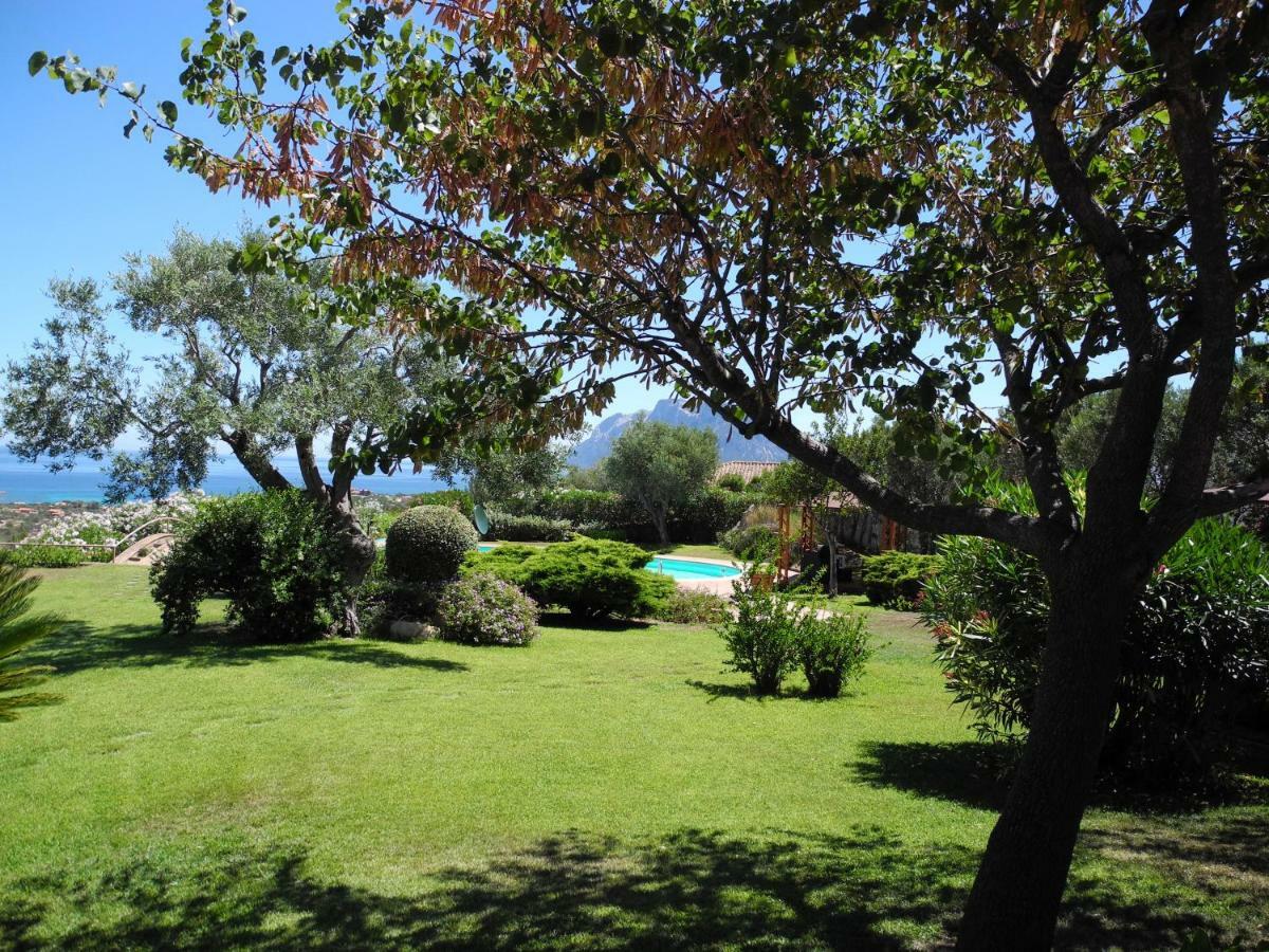 Villa Kate B&B Porto San Paolo  Exteriör bild