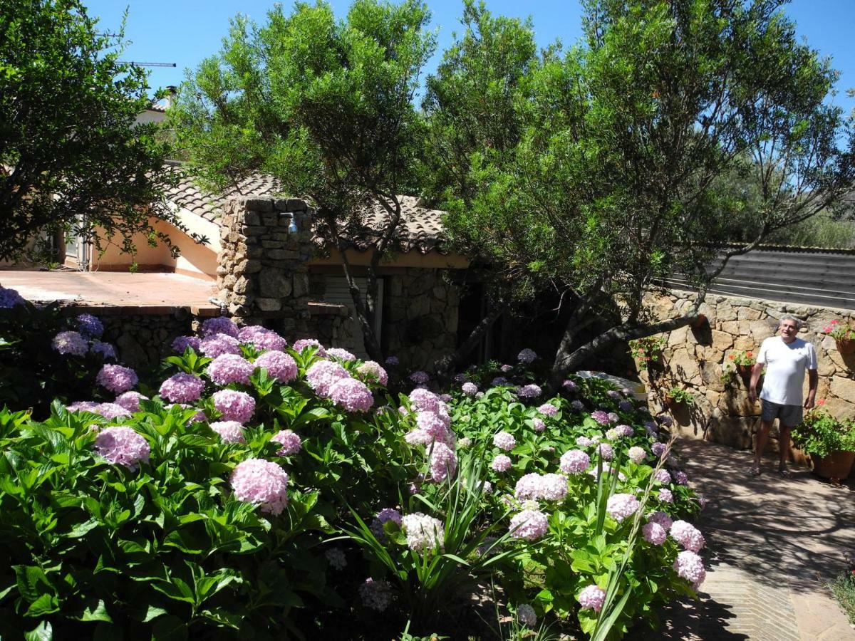Villa Kate B&B Porto San Paolo  Exteriör bild